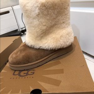 Brand new uggs size 7